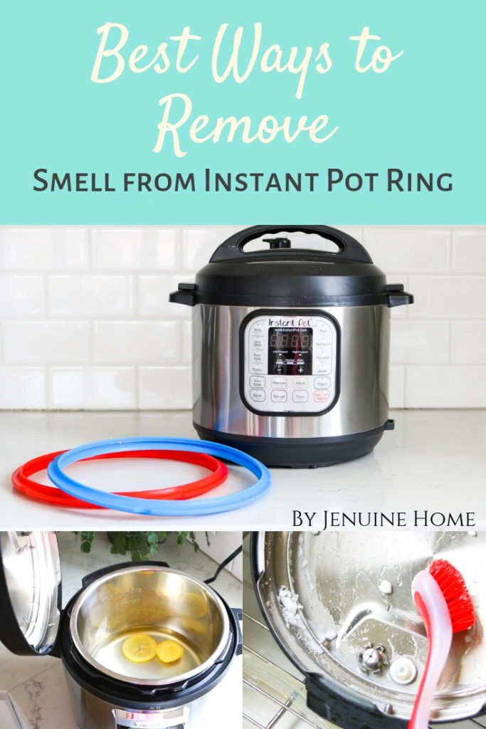 instant pot with sealing rings and cleaning with scrub brush